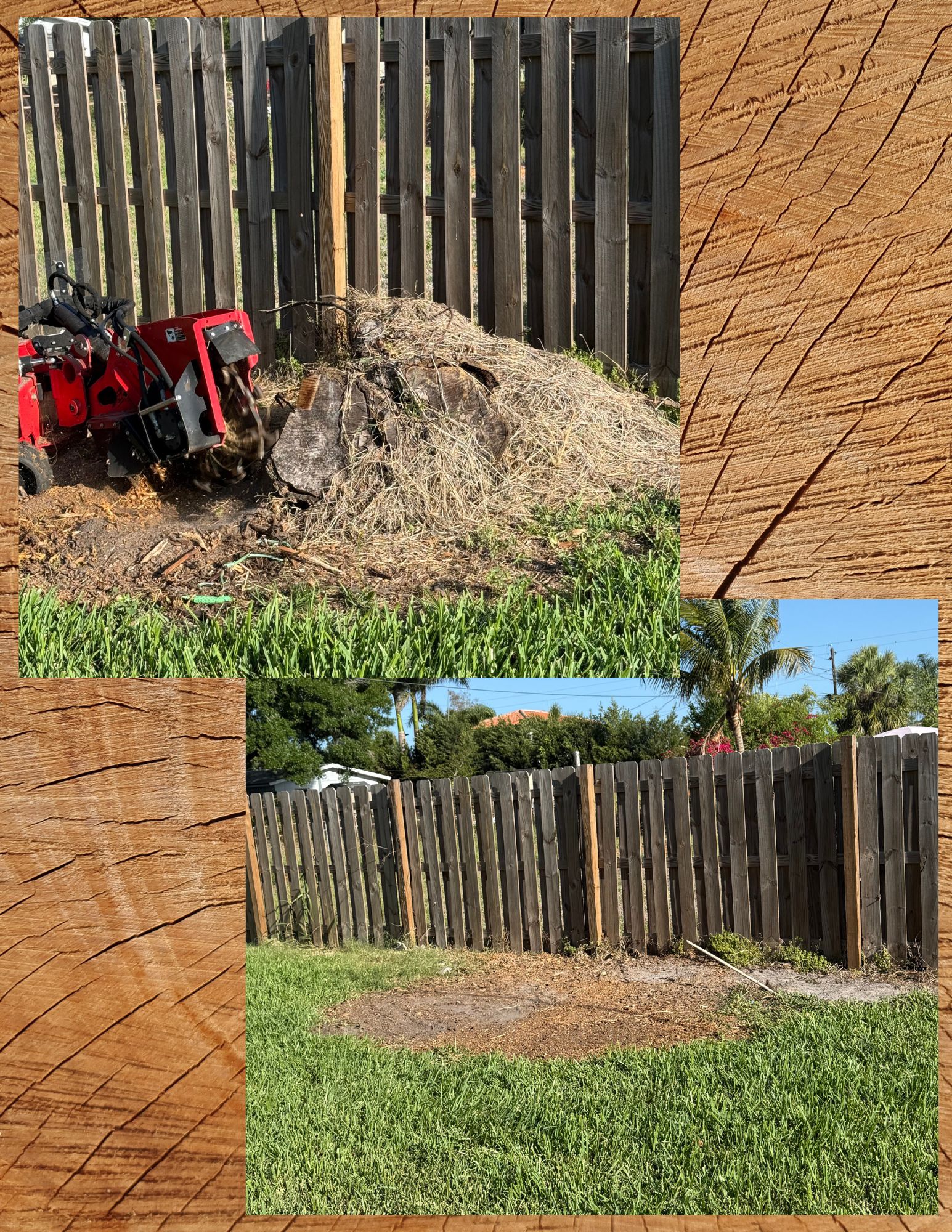 Lawn Service