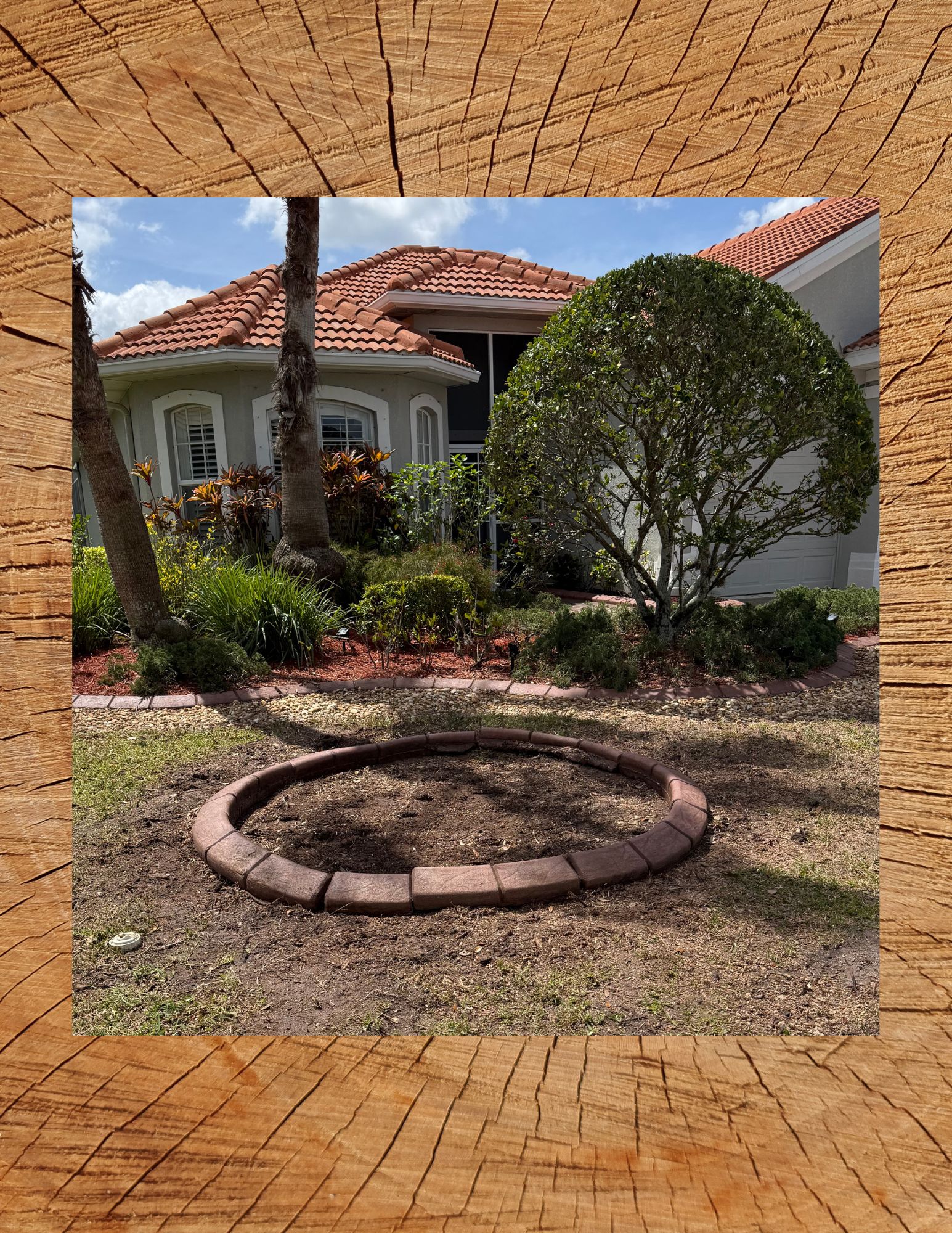 Tree Removal